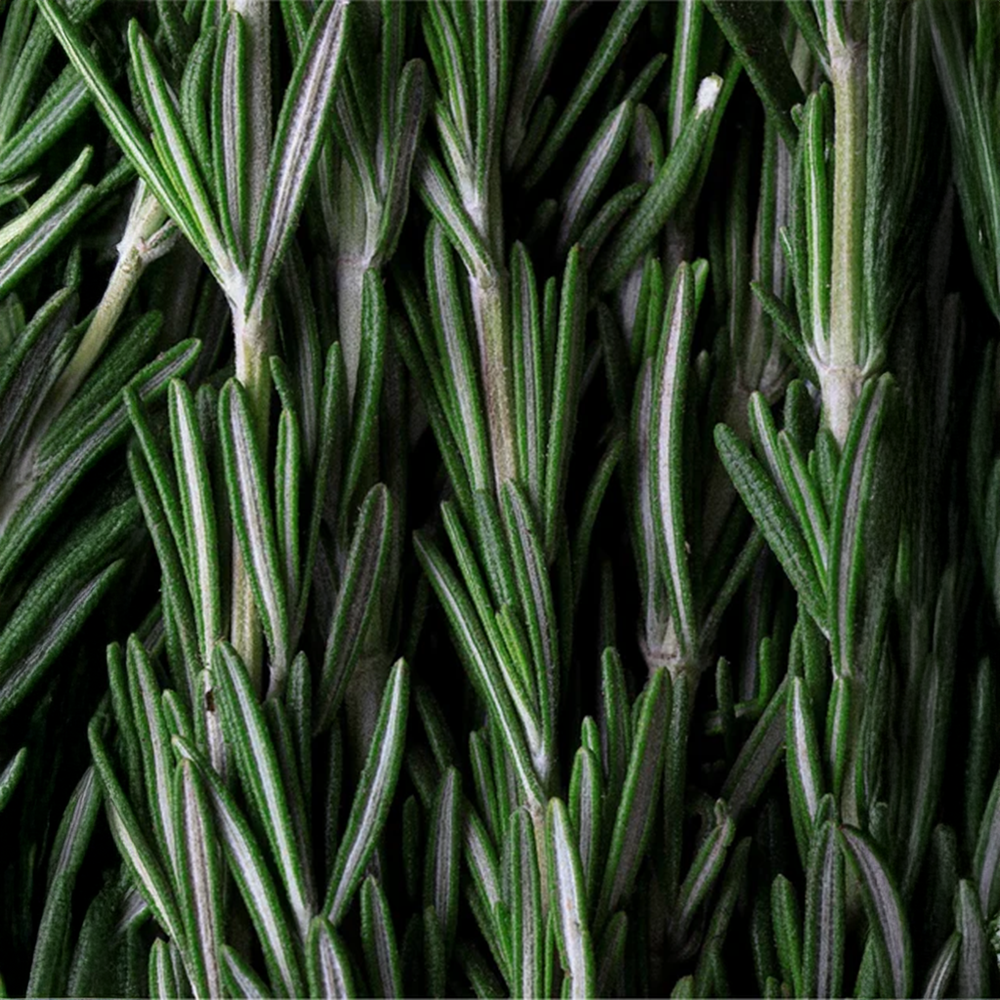 Deep Cleanse Scalp Scrub, Rosemary & Mint